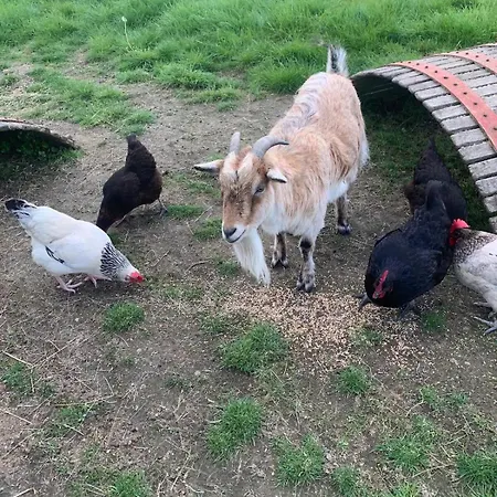 Hébergement de vacances La Chevrerie