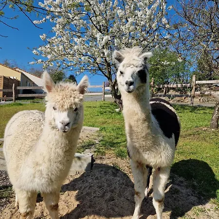 Hébergement de vacances La Chevrerie *