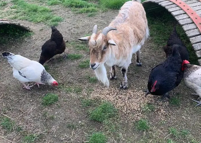 Casa vacanze La Chevrerie