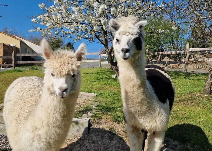 Casa vacanze La Chevrerie *